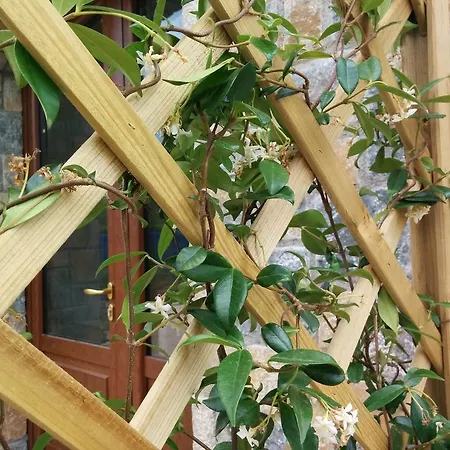 アパート Sophora パリヌロ