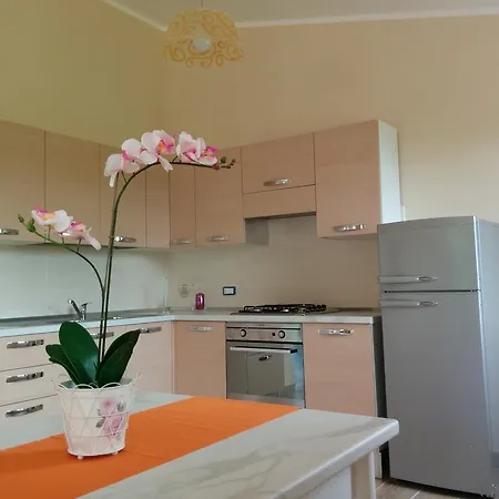 Sophora パリヌロ